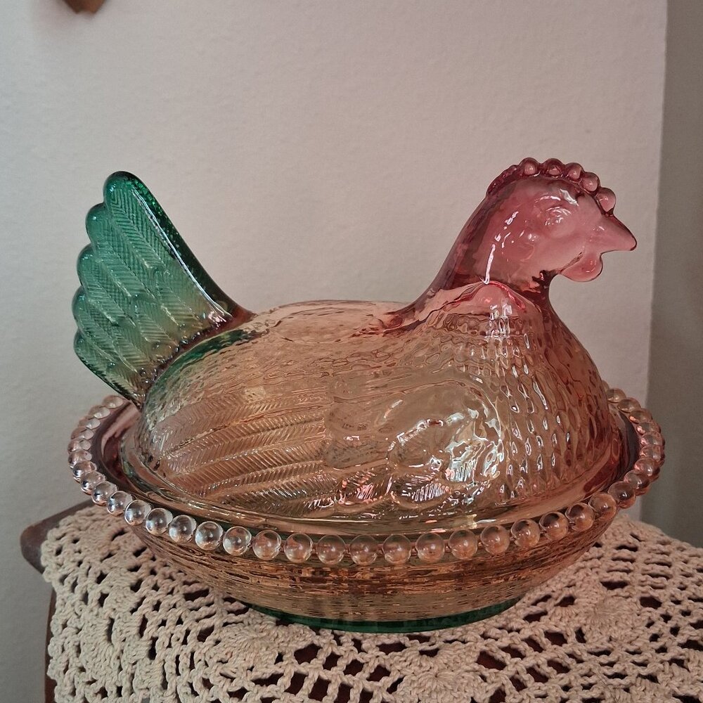 Multicolor Hen on Nest